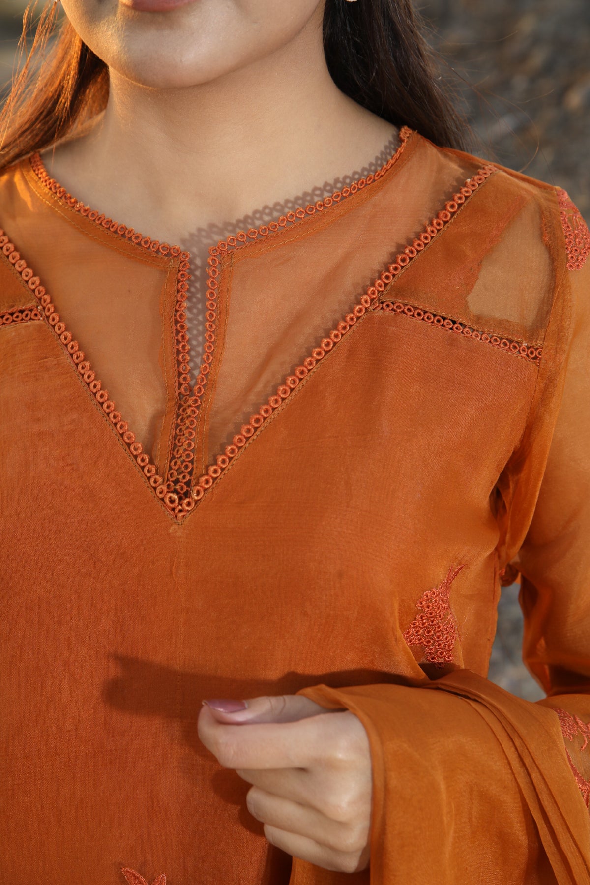 Rust organza dress